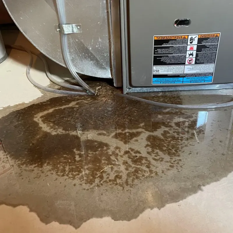Pipe Burst and Leak Restoration in Barrington Hills, IL
